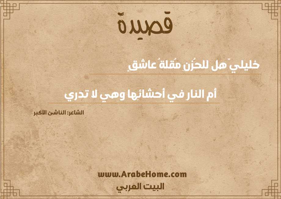 خليليَّ هل للحُزنِ مُقلةُ عاشقٍ