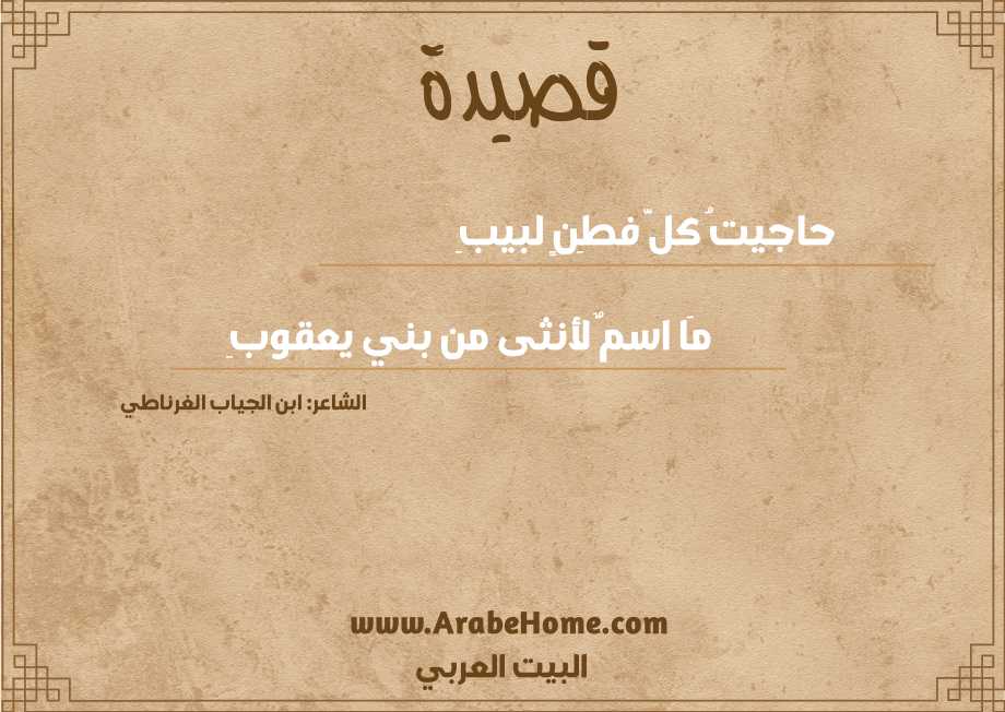 حاجيتُ كلَّ فطِنٍ لبيبِ