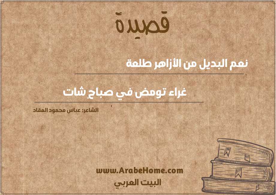 نعم البديل من الأزاهر طلعة