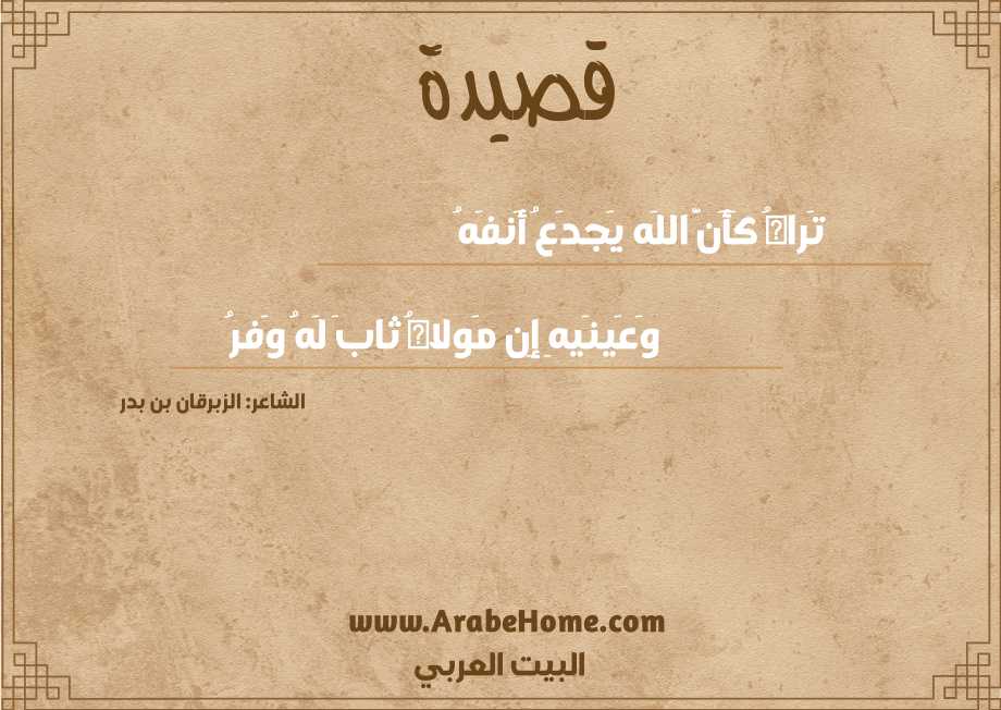 تَراهُ كَأَنَّ اللَه يَجدَعُ أَنفَهُ