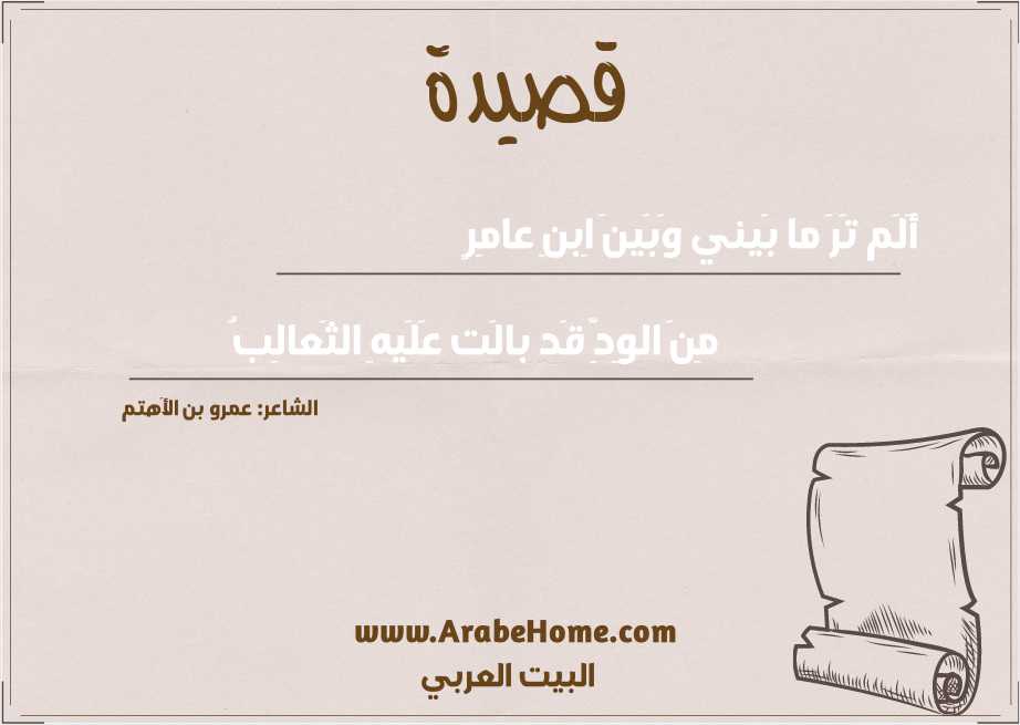 أَلَم تَرَ ما بَيني وَبَينَ اِبنِ عامِرٍ