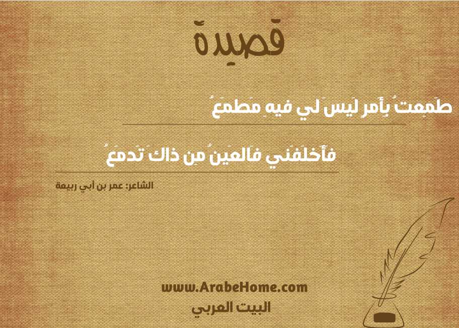 طَمِعتُ بِأَمرٍ لَيسَ لي فيهِ مَطمَعُ