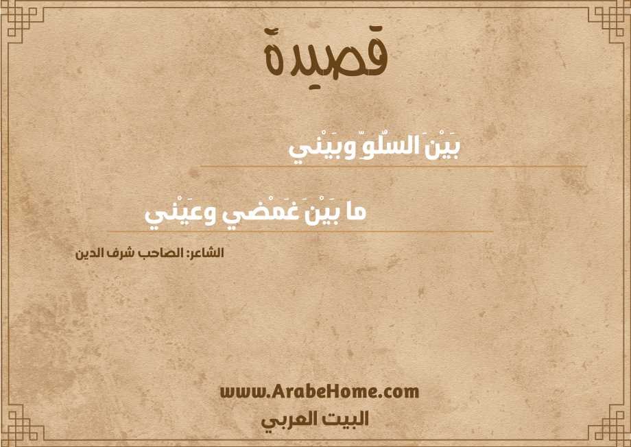 بَيْنَ السُّلوِّ وبَيْني