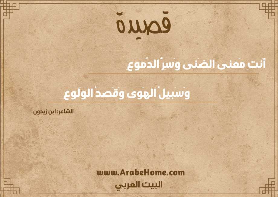 أَنتِ مَعنى الضَنى وَسِرُّ الدُموعِ